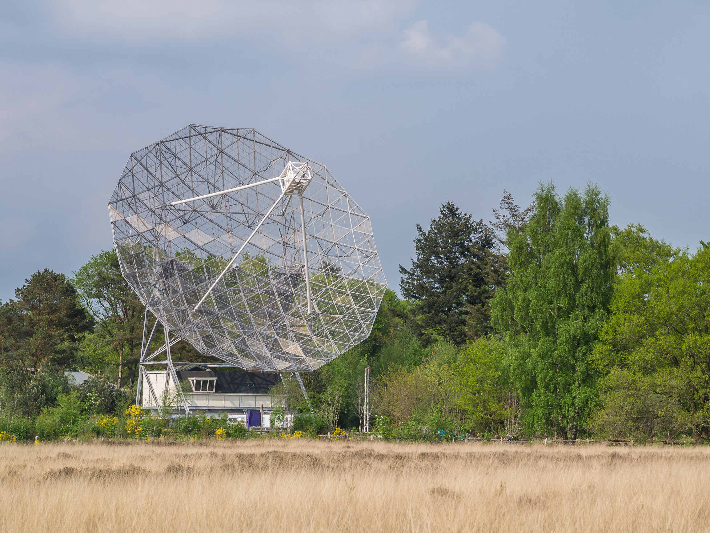 Planetron & Dwingeloo Radio Telescope