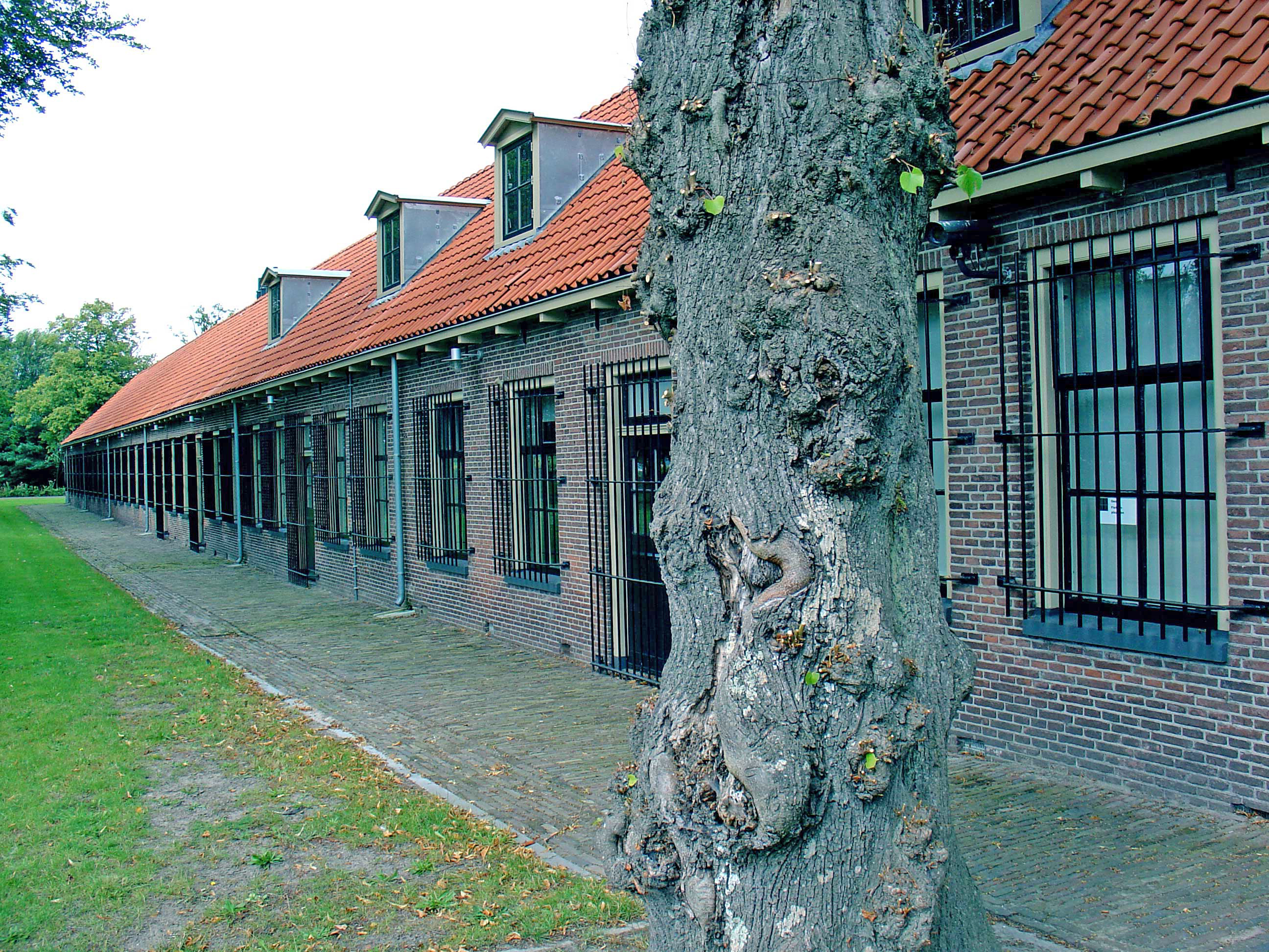 Colonies of Benevolence