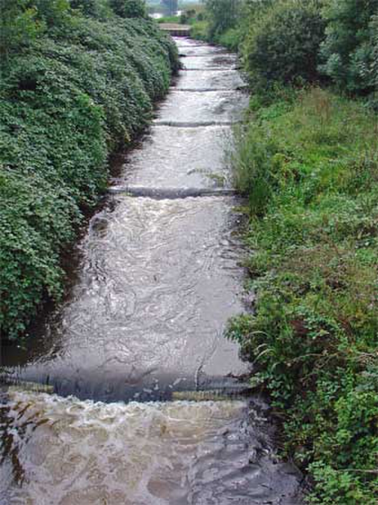 Vechtdal & Ommen